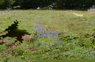 Tenuta Deserto - Foto 64