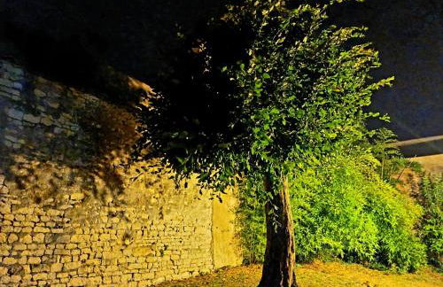 Appartement 91 Palais des Gouverneurs Jardin Piscine couverte et exterieure Sauna Hammam Fitness Clim - Foto 75