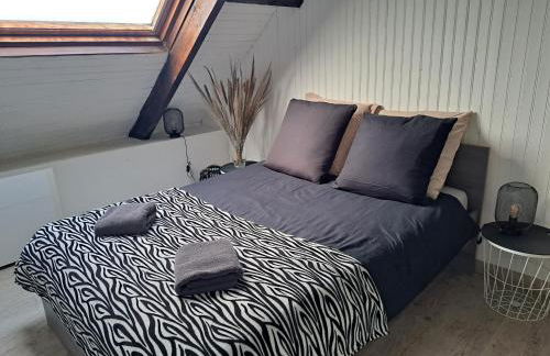 L'Hirondelle - Foto 10