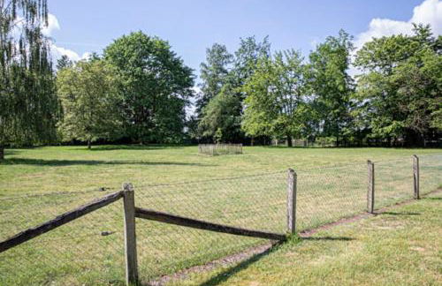 Ferienwohnungen Schierbaum - Foto 28