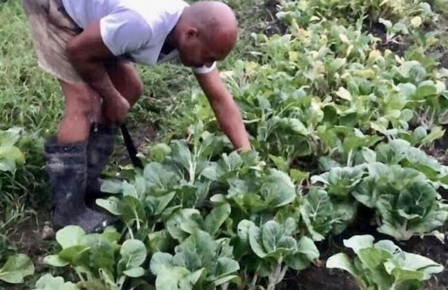 Sobral Rice Terraces View - Foto 44