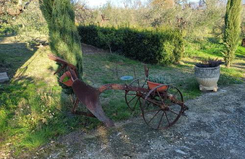 Colle Perazzoni - Foto 40