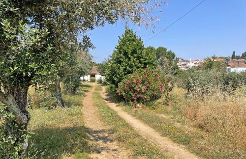 Ola Linda - Casa de Campo - - Foto 2