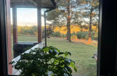 wietrznie-wichrowe wzgórze - Foto 66