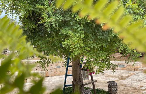 Grano Arso Appartamento Turistico - Foto 51