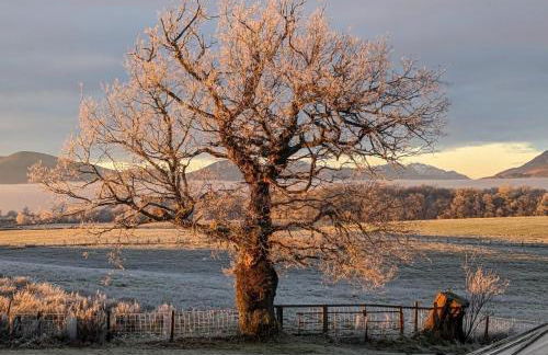 FINN VILLAGE - Loch Lomond Sunset Glamping Pod - Private Ofuro HOT TUB - Foto 11