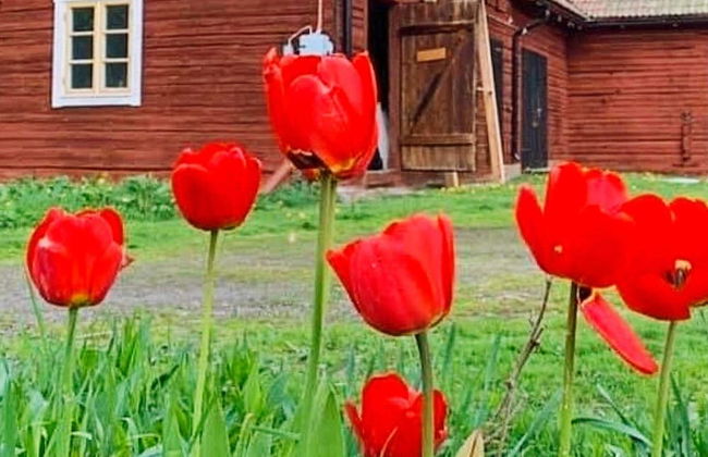 10 Person Holiday Home in Hedesunda - Foto 15