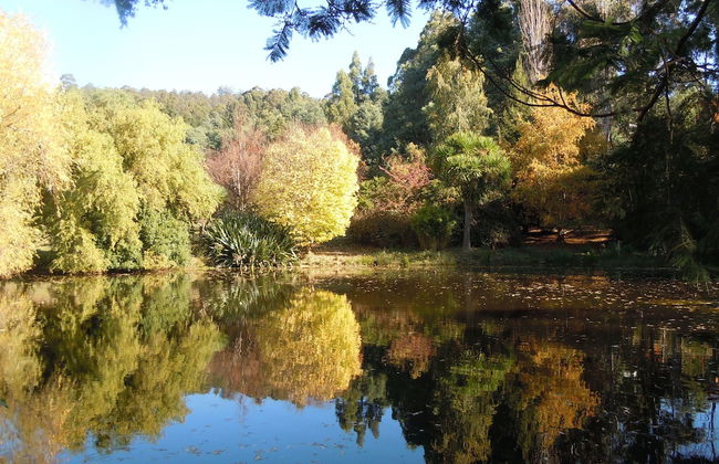 Whispering Spirit Holiday Cottages - Foto 14