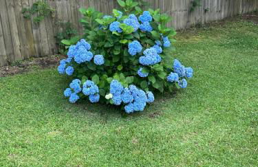 The Crystal Cottage2 - Foto 27