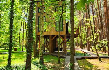 Tree Houses Olszanka - Photo 21
