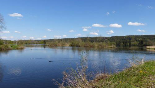 Ferienhof Settele - Foto 3