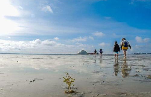 Maisonnette,100m mer, proche St Malo/Cancale, WIFI - Foto 16