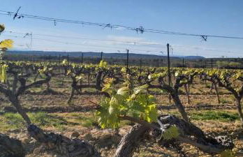 Maison Barban - Photo 57