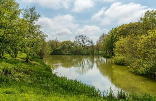 Chalet Lodge 2 - Hot Tub by Interhome - Foto 41