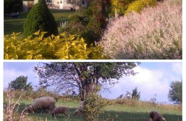 Agroturystyka pod Baranią Gorą - Foto 17