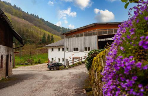 Ferienhof Giedensbach - Foto 6