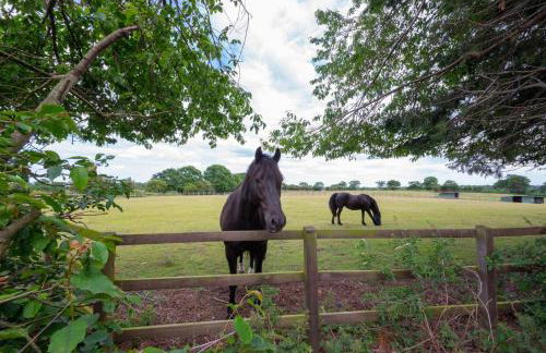 1 Bed in Frettenham oc-1193 - Foto 10