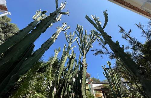 Casa Dieter - Foto 48