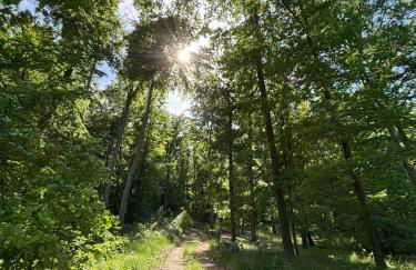 Ferienhaus Glücksmoment - Foto 43