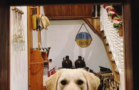 Apartaments Cel i Fusta - Photo 12