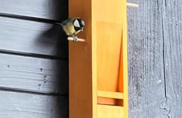 Le Petit Cham - Foto 20