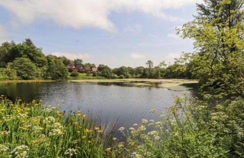 Thistle Dubh "Doo" - Foto 36