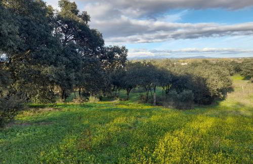 La Mazuela - Foto 31