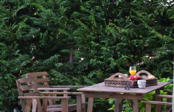 Isabel Artemis - Foto 44