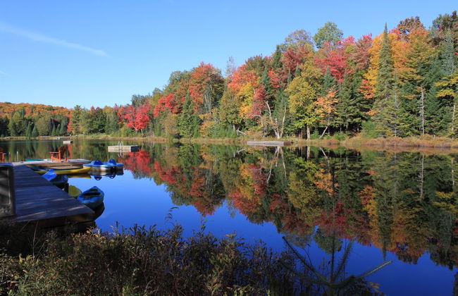 Blueberry Lake Resort - Photo 46
