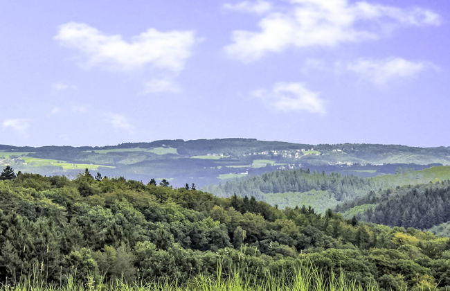 1 bedroom Apartment in Fuchshofen with garden - Photo 30