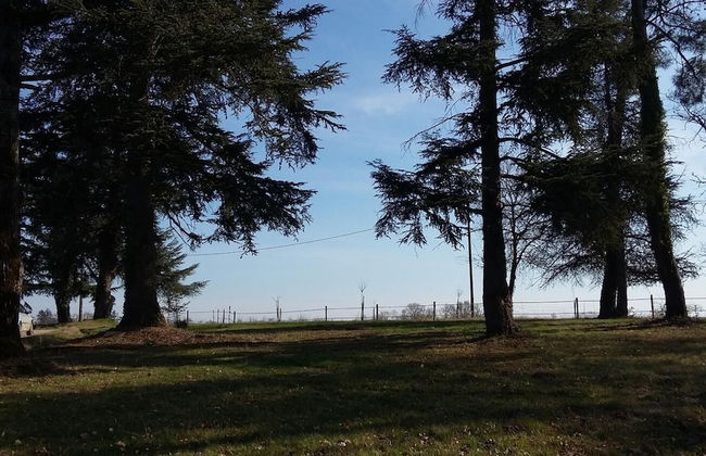 Relais du Haget - Foto 16