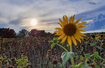 Vacanze Sant Andrea - Foto 63