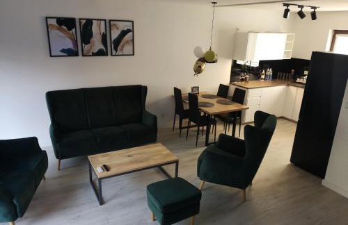 Willa Kaszubski Sendom - Foto 18