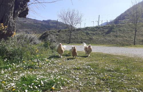 Agriturismo Campo Rosso - Foto 107