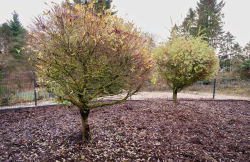 Ferienhaus nah der Ostsee, 110qm mit eigenem Garten - Foto 2