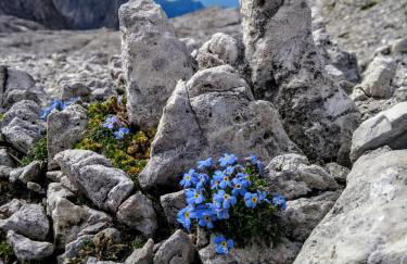 Casa Caterina - Foto 13