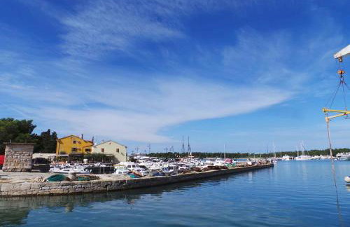 Apartment Pridraga 1 - Photo 27