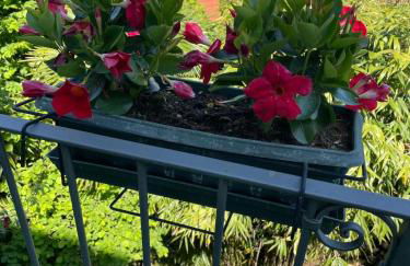 Casa Monika - Foto 10