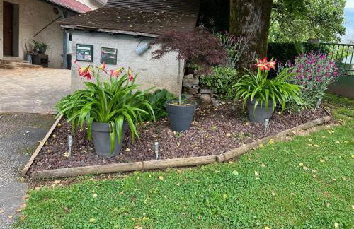 La Couade de Troche - Foto 21