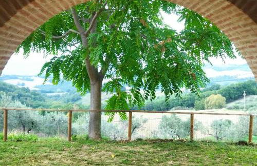 Casa nella campagna Umbra - Foto 22