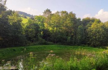 Bieszczady Żubrowe Wzgórze 785-049-543 - Foto 65