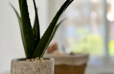 Casa Rosetta - Relax in Centro - Parcheggio Privato, Mare a 2 Passi - Photo 38