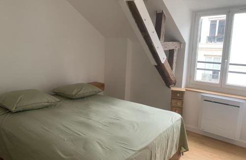 Paris - Notre Dame - Panthéon - Luxembourg - 30 m2 - Foto 12