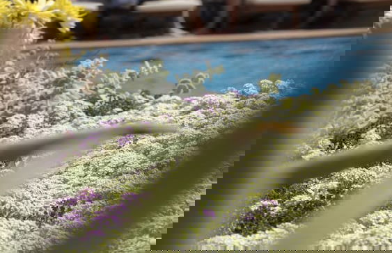 Maleme Mare Beach Resort Hotel - Foto 71