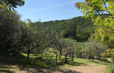 La Casa di Franco - Photo 6