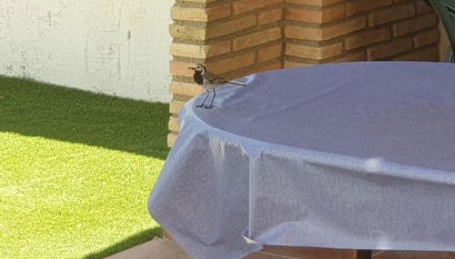 Villa Preciosa - Foto 2