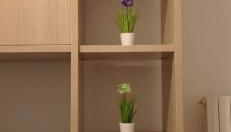 Residence KATIA - Foto 3