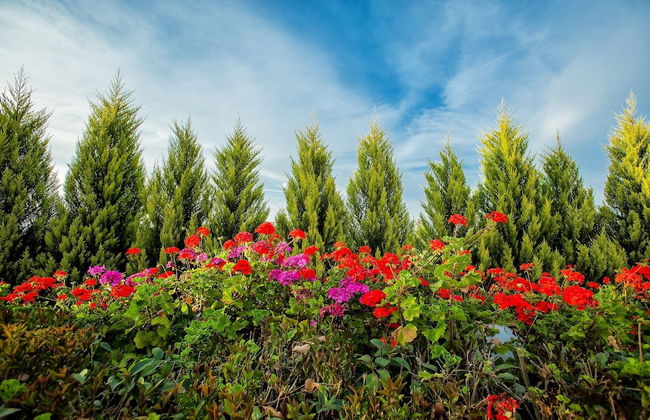 Xenios Port Marina Hotel - Photo 54