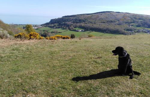 Conwy Pen Cefn Farm Holiday - Photo 27