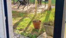 Charmoso Apartamento T2 em Foros de Salvaterra - Foto 4, Garden view